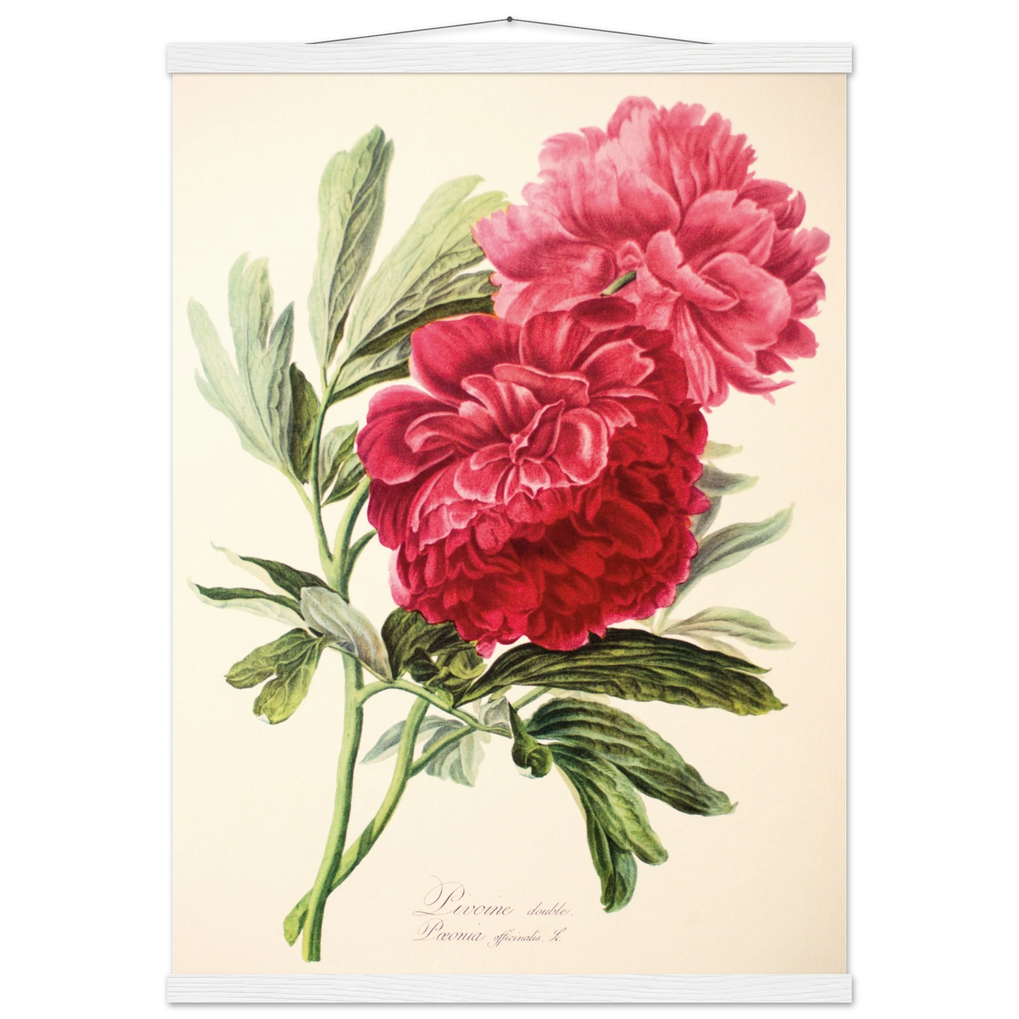 463f6784-3b95-43d1-9e2e-68855129787a