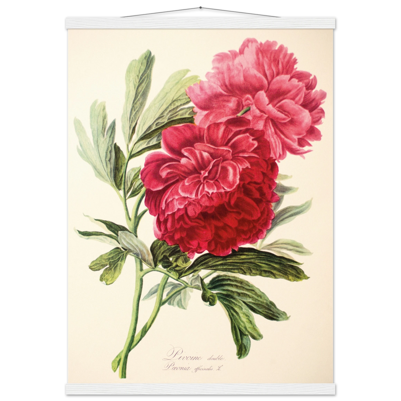 463f6784-3b95-43d1-9e2e-68855129787a