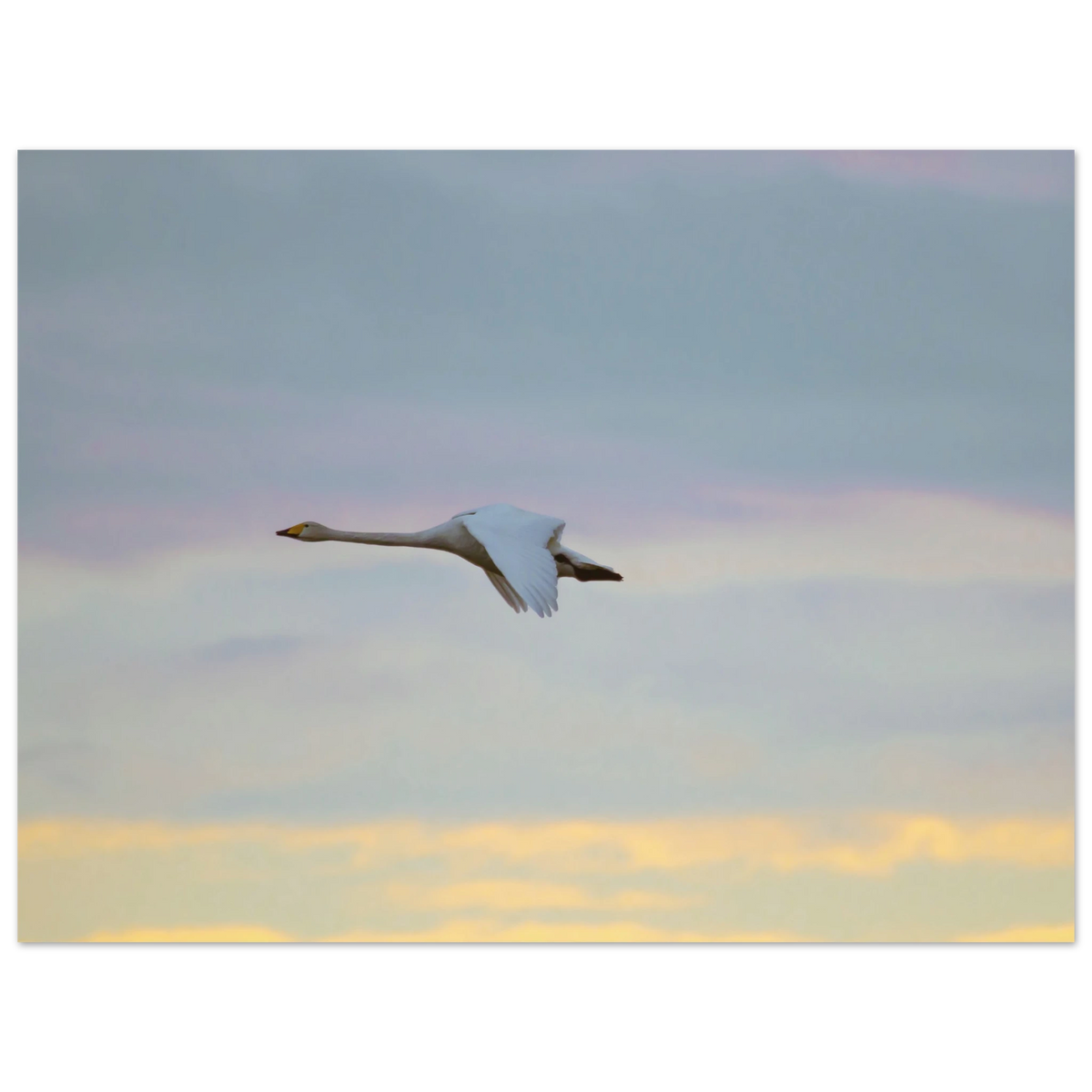 466f80a4-4e52-41ed-a7c4-15a2322610cd