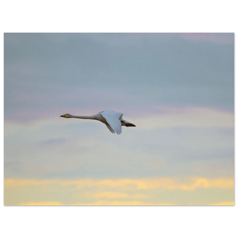 466f80a4-4e52-41ed-a7c4-15a2322610cd