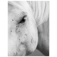 467a16da-282e-4cf2-b318-e26ab9496bff