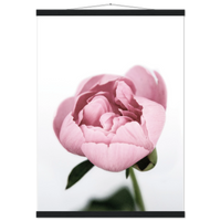 47289923-da21-4da0-a29e-4612bba615ea