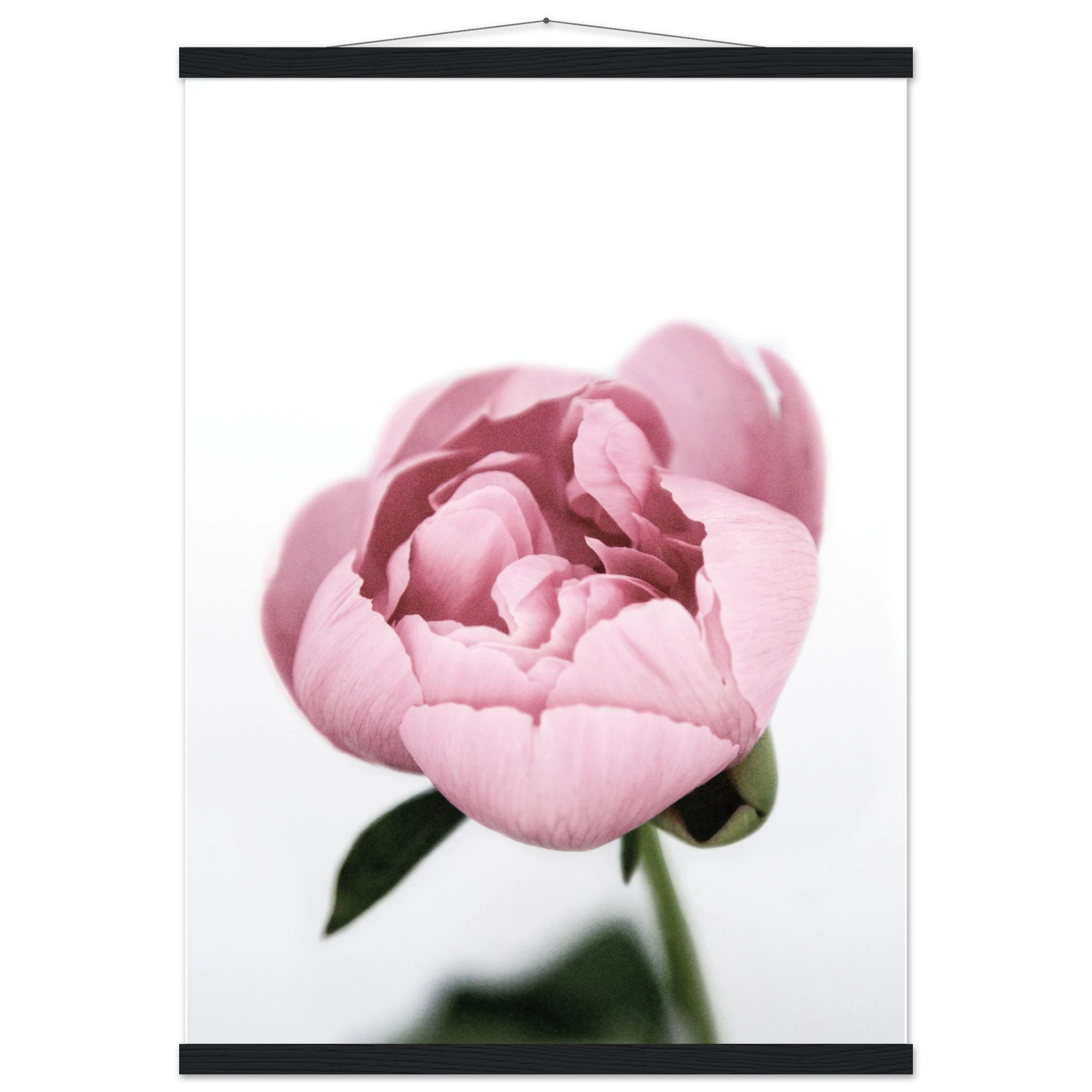 47289923-da21-4da0-a29e-4612bba615ea