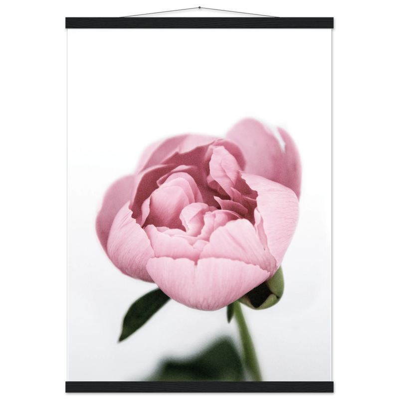 47289923-da21-4da0-a29e-4612bba615ea