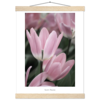 478f125e-e118-4505-a0b3-9b531b53fbc5