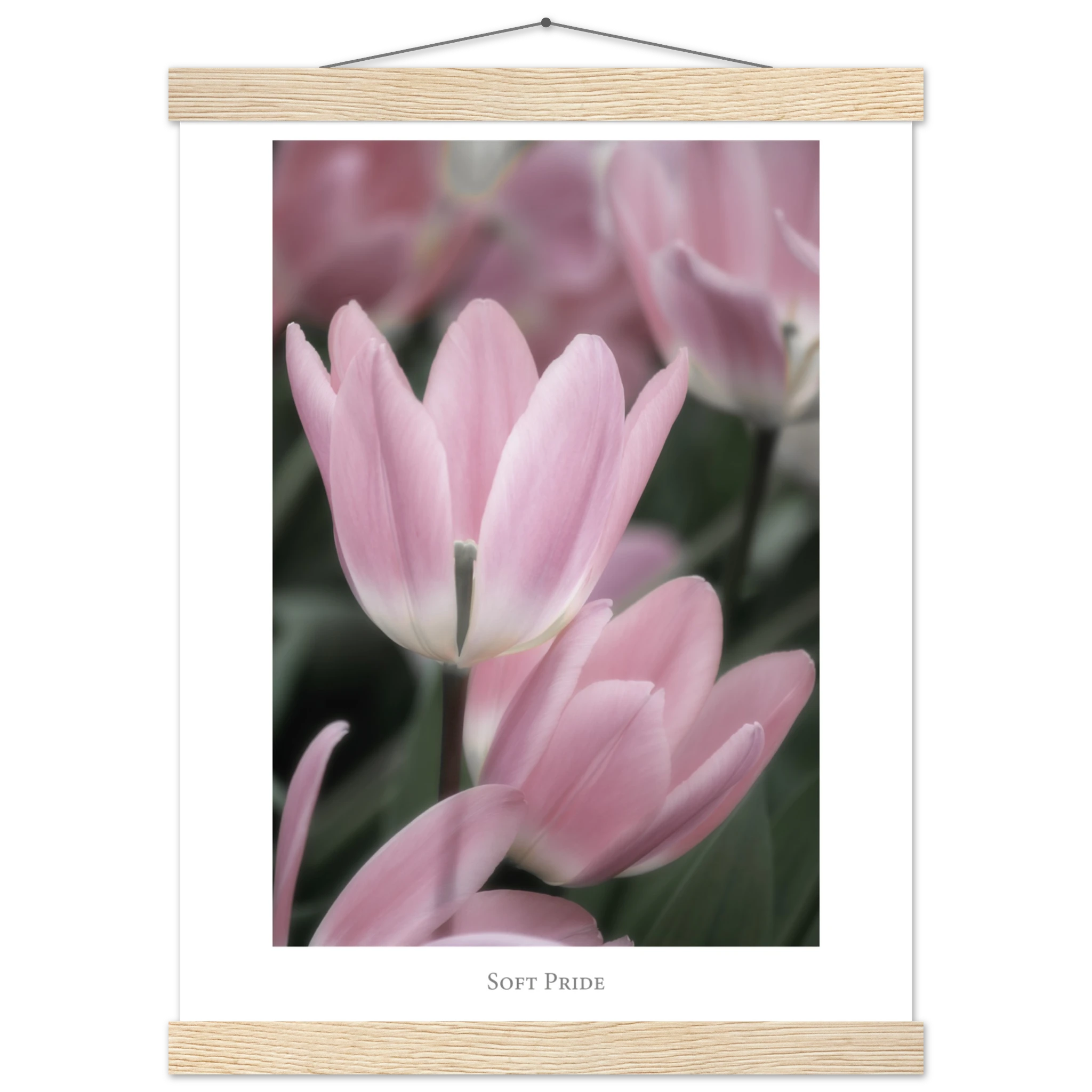 478f125e-e118-4505-a0b3-9b531b53fbc5