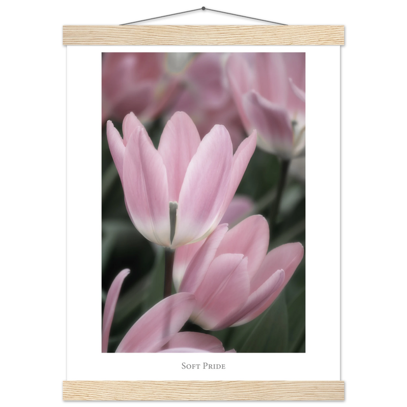 478f125e-e118-4505-a0b3-9b531b53fbc5