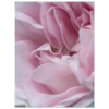 48b53dc5-232e-4e3b-87a4-311e1fdb853b