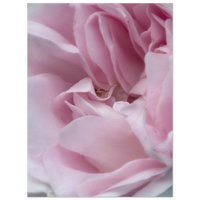 48b53dc5-232e-4e3b-87a4-311e1fdb853b