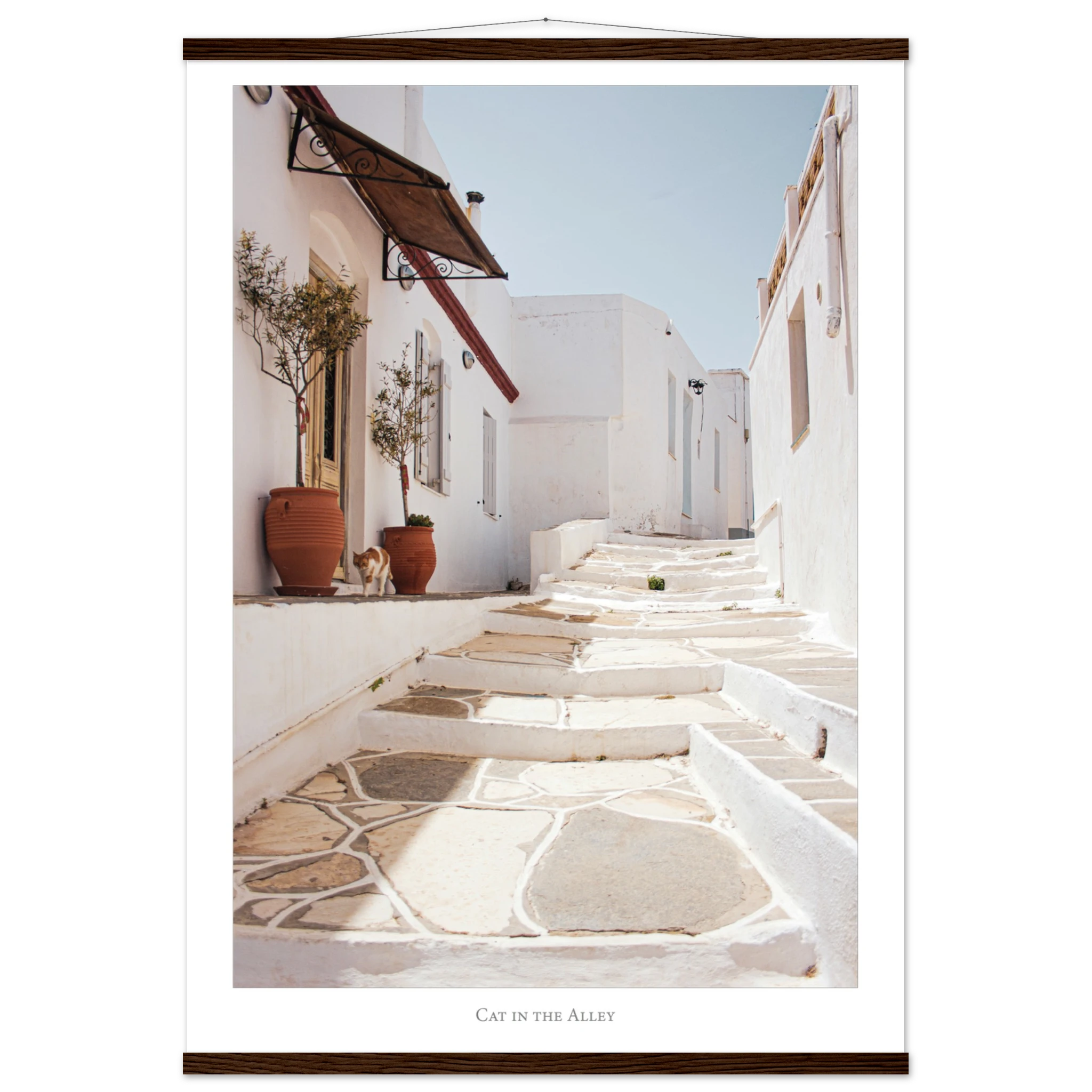 49d23bb1-cd03-46b8-bab5-da3a9bbd307b