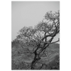 4b00b369-4628-494d-8bc8-d8835afa0948