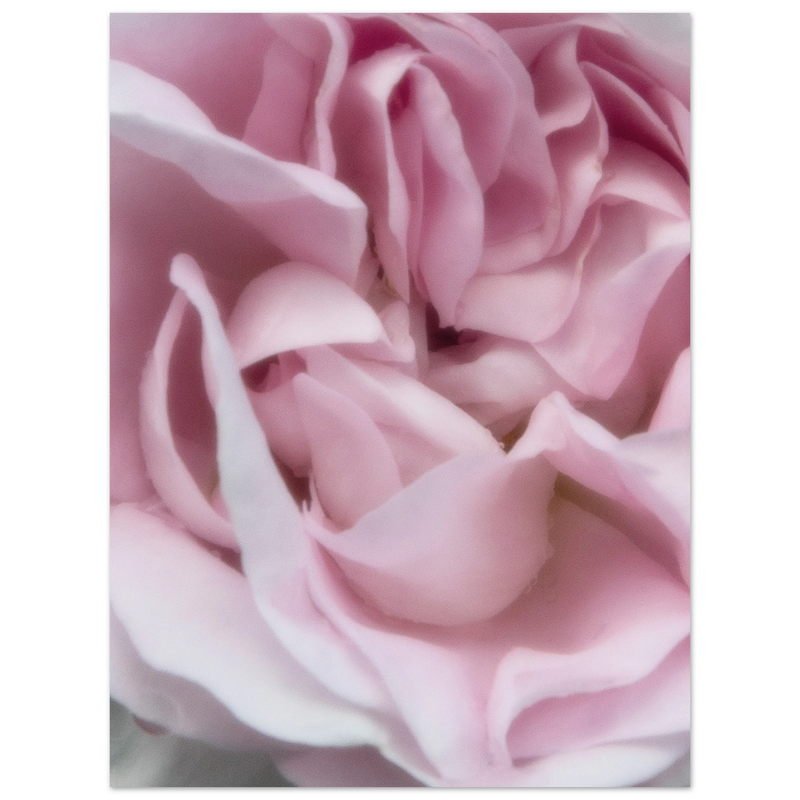 4b64d880-75cd-458e-98b5-fd8c6f444ae5