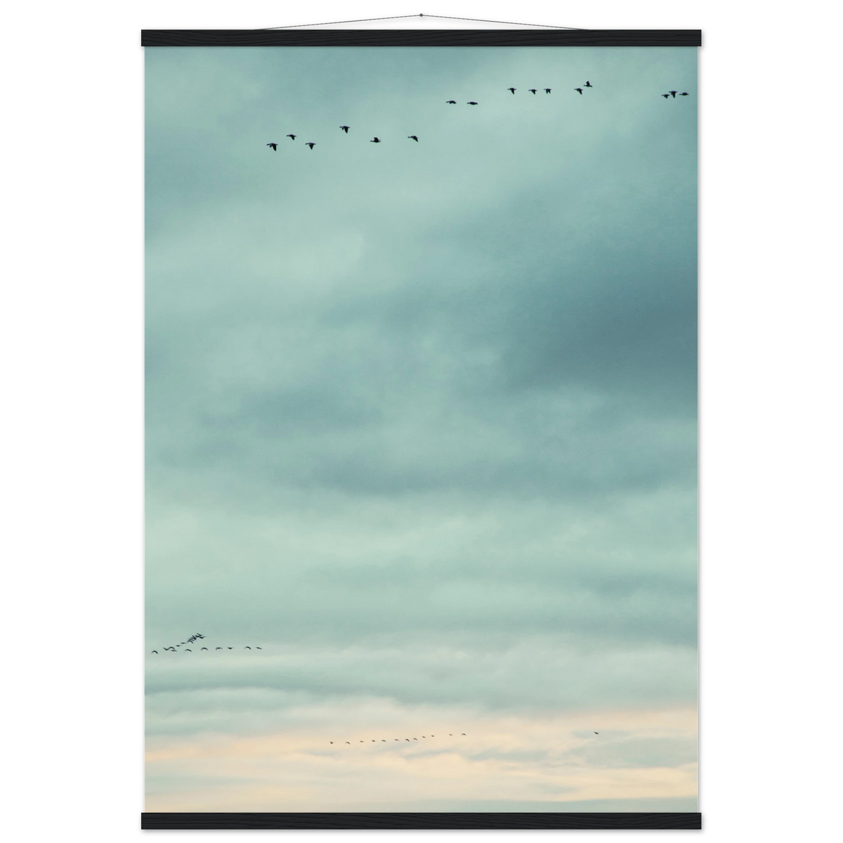 4bb8750f-6f2a-4e46-b006-d32c6c444975