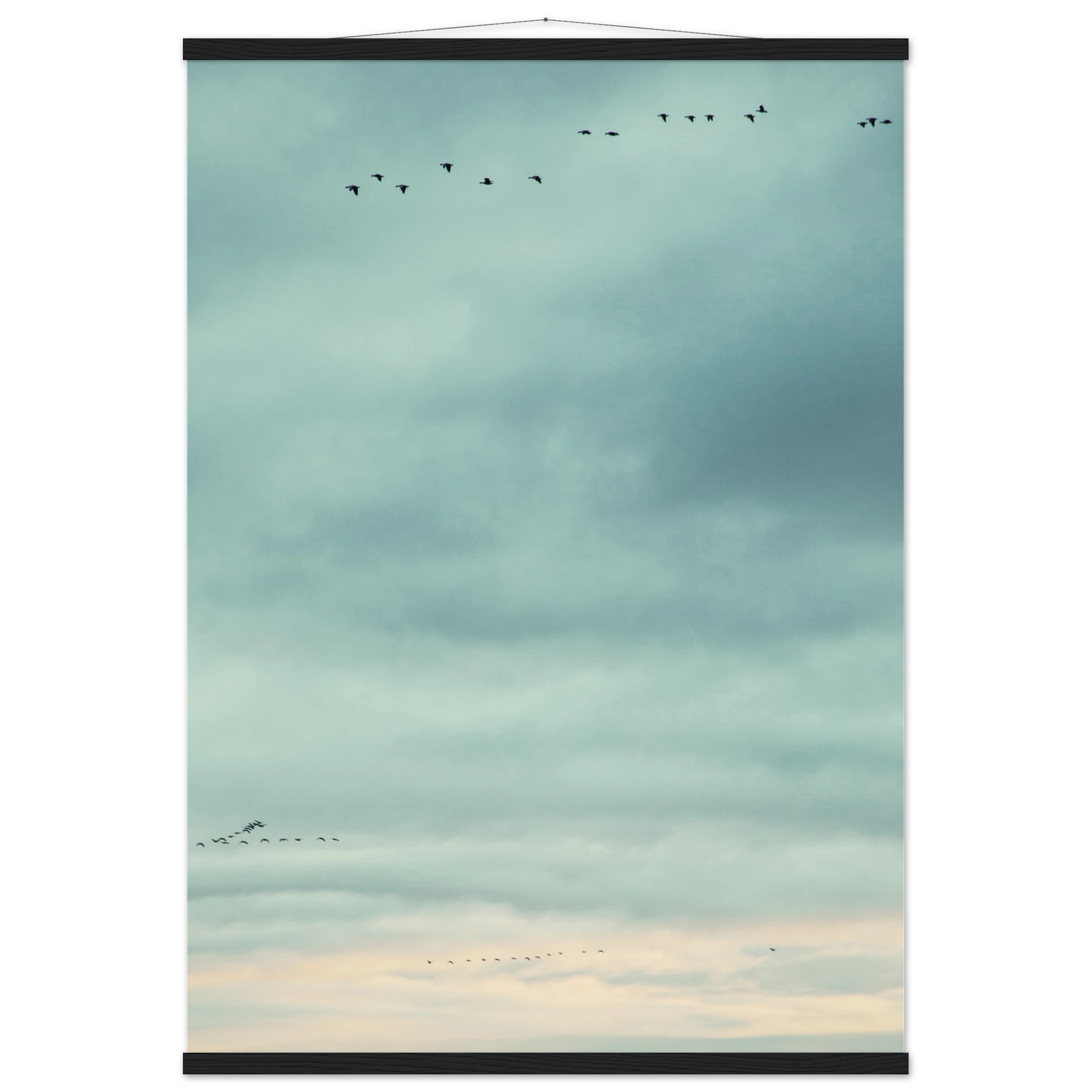 4bb8750f-6f2a-4e46-b006-d32c6c444975