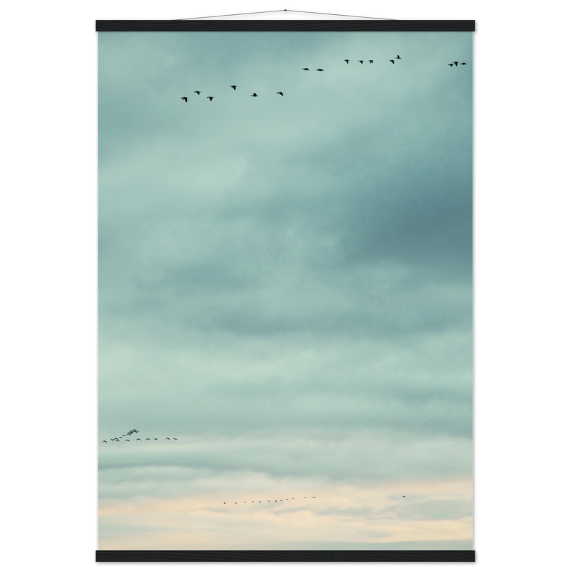 4bb8750f-6f2a-4e46-b006-d32c6c444975
