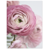 4c77b470-d420-4d07-a8e7-8cb89a44b60c