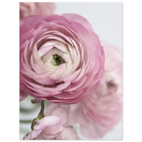 4c77b470-d420-4d07-a8e7-8cb89a44b60c
