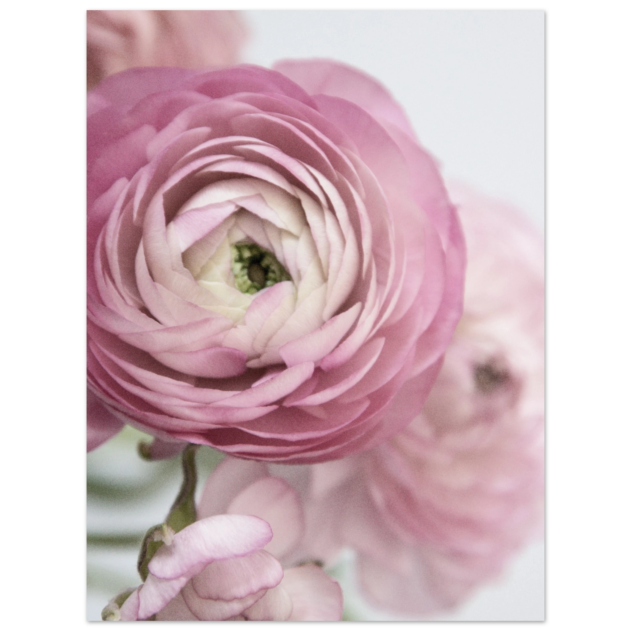 4c77b470-d420-4d07-a8e7-8cb89a44b60c
