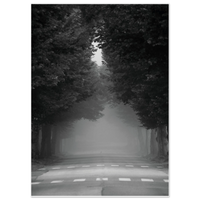 4c8c3f3b-7b83-4fd1-983a-3d761dde552f