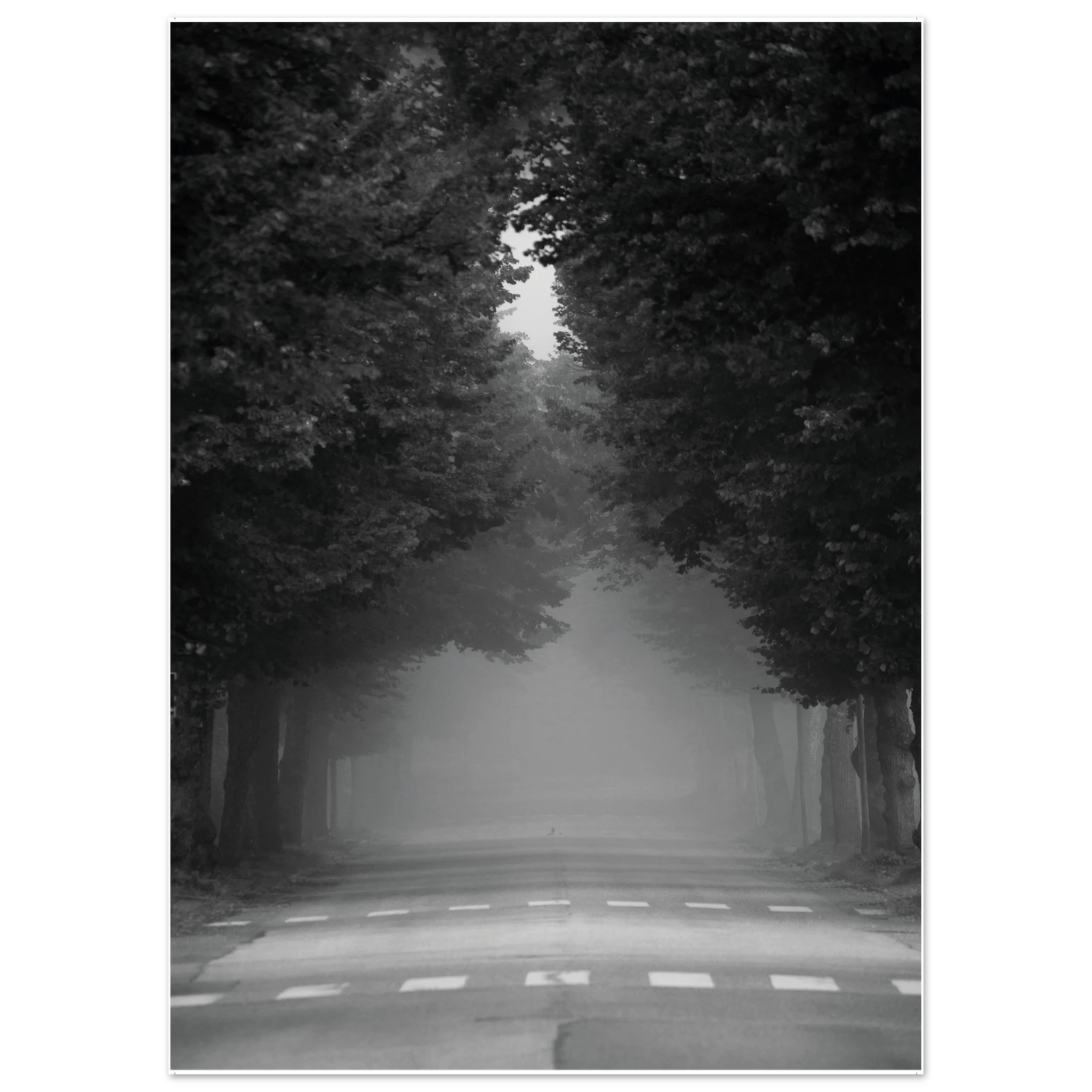 4c8c3f3b-7b83-4fd1-983a-3d761dde552f