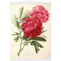 4e46a798-95fc-4329-928b-59c49c23cb80