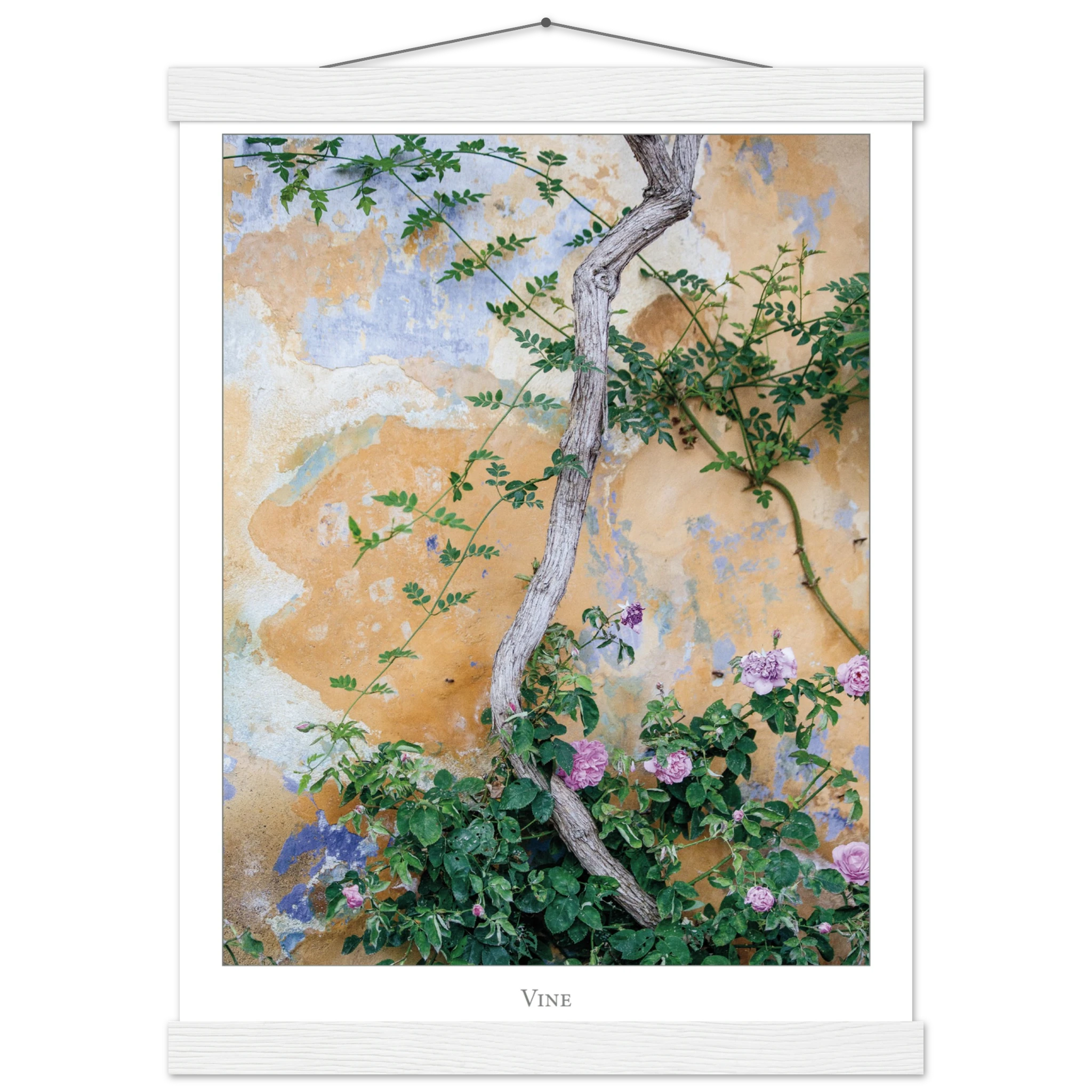 4ed22177-041e-4eb9-9ede-f2a9d093af01