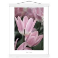 4f513066-73ea-46a4-a736-639592ac78cb