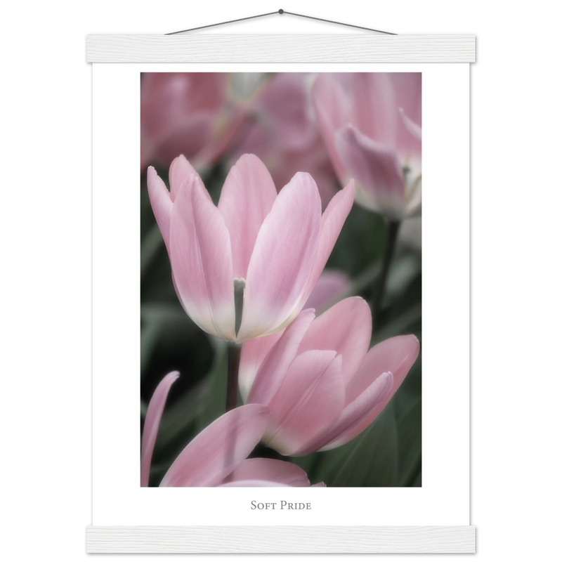 4f513066-73ea-46a4-a736-639592ac78cb