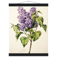 4fb74cac-fcdb-438b-afa5-e5b98cb18161