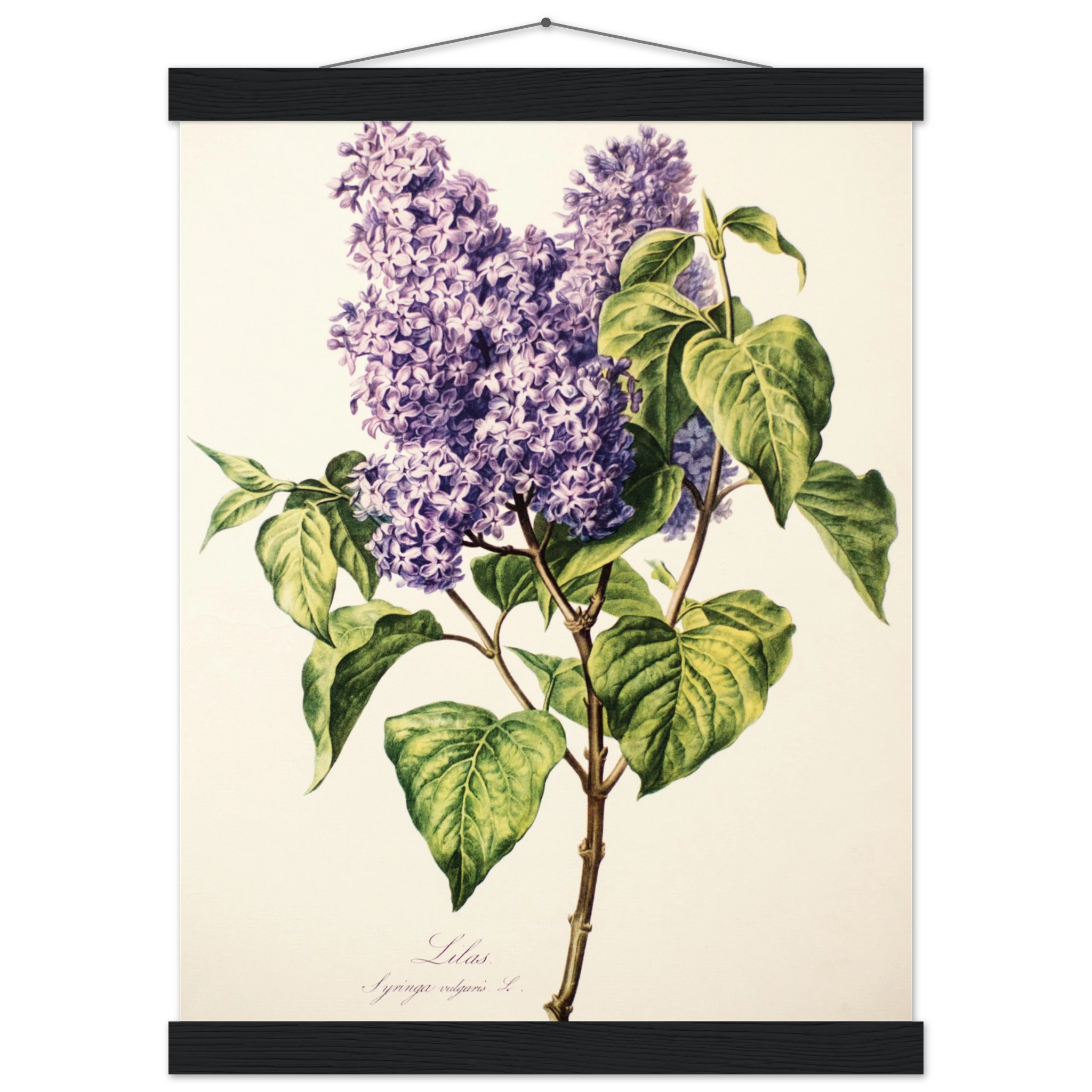 4fb74cac-fcdb-438b-afa5-e5b98cb18161