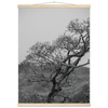 4fdcdb8d-6c72-4e21-9fb2-6faa9b4e4223