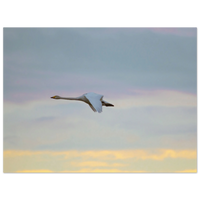 5166bc13-bc8e-4822-93c7-0c77ff200715