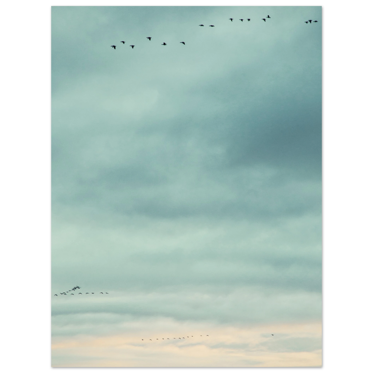 51e60404-517c-4e7c-acea-6d4717f7b02a