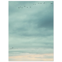 51e60404-517c-4e7c-acea-6d4717f7b02a