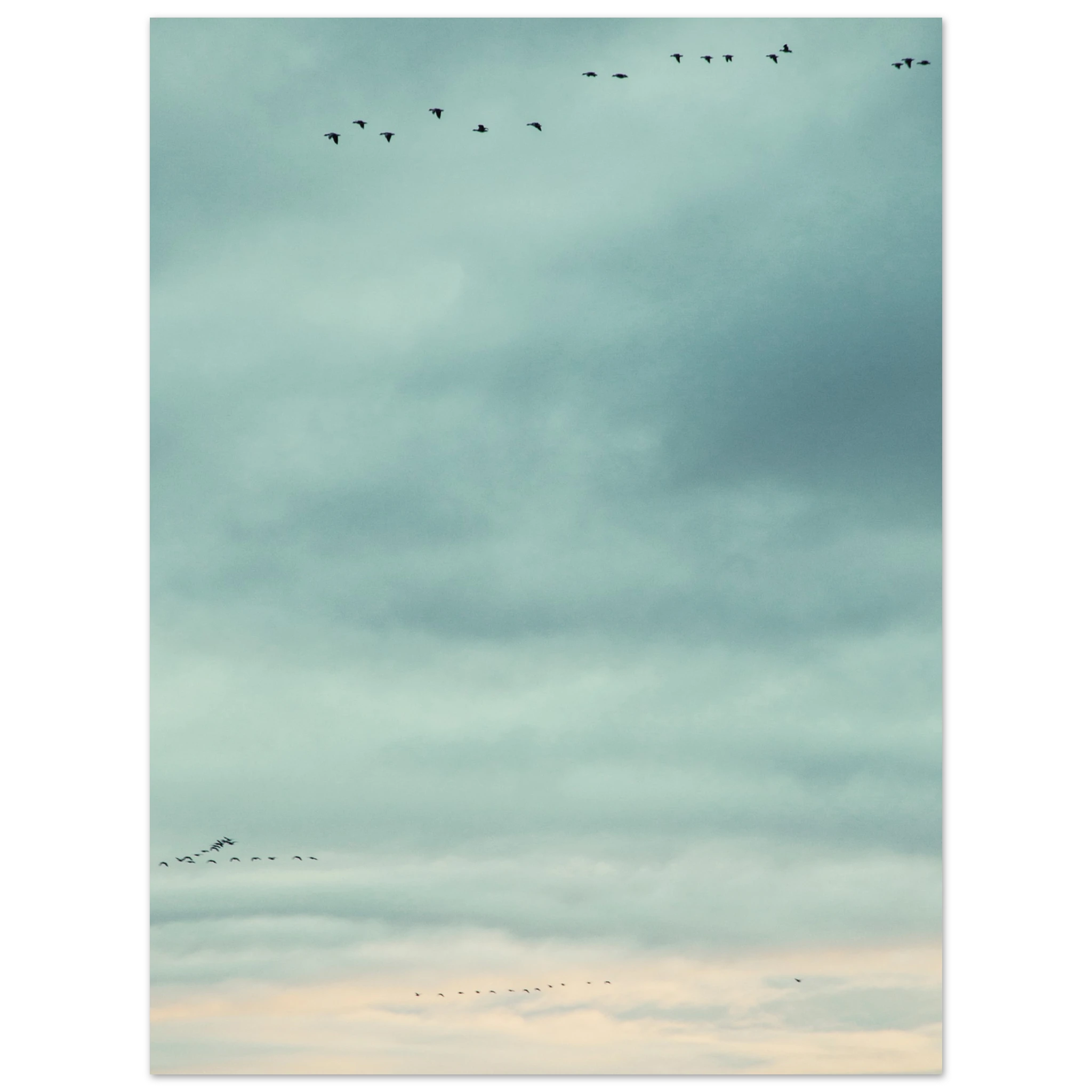 51e60404-517c-4e7c-acea-6d4717f7b02a