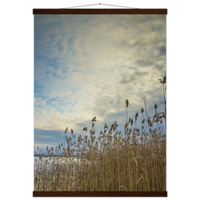 5220c292-addf-4405-aed7-55226b505474