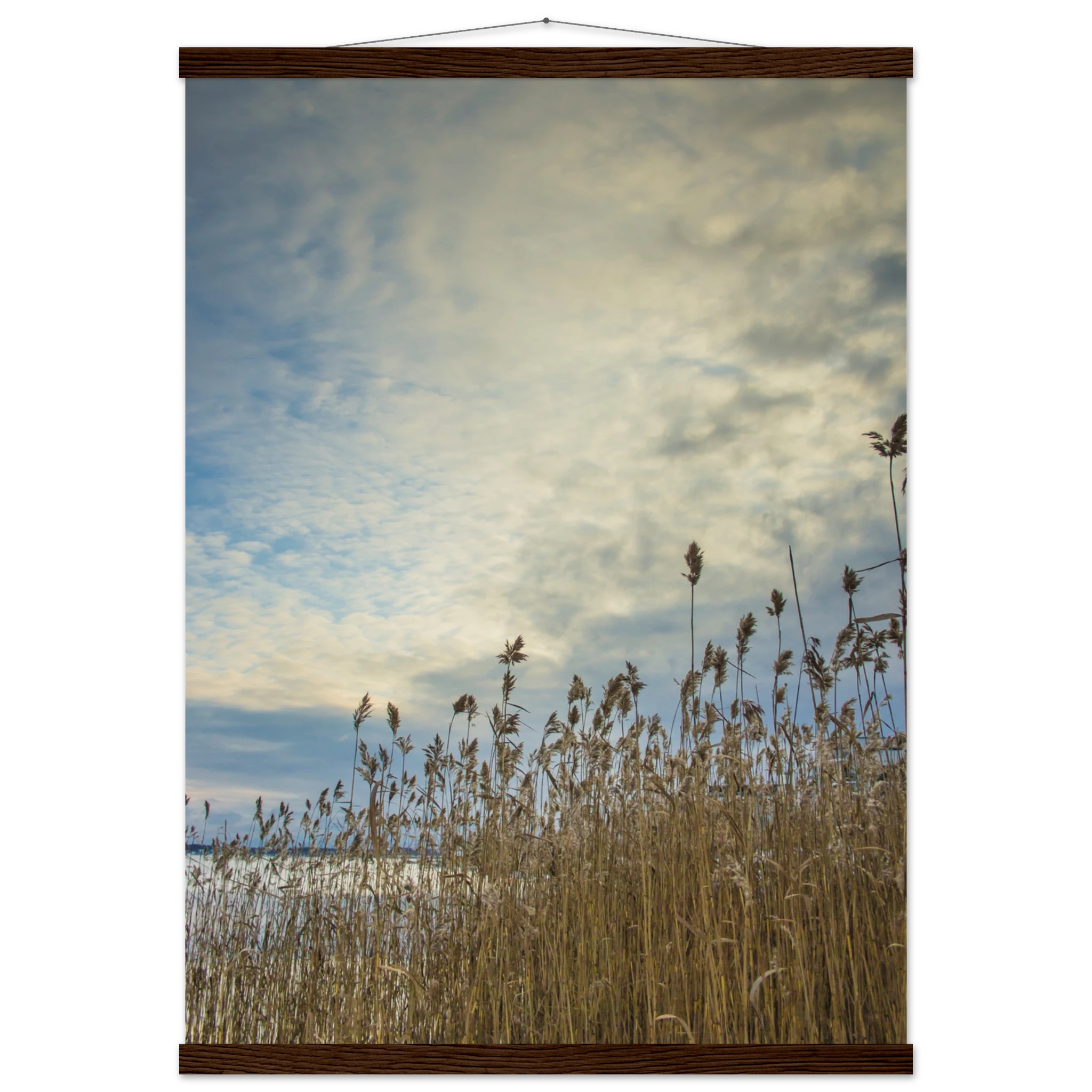 5220c292-addf-4405-aed7-55226b505474