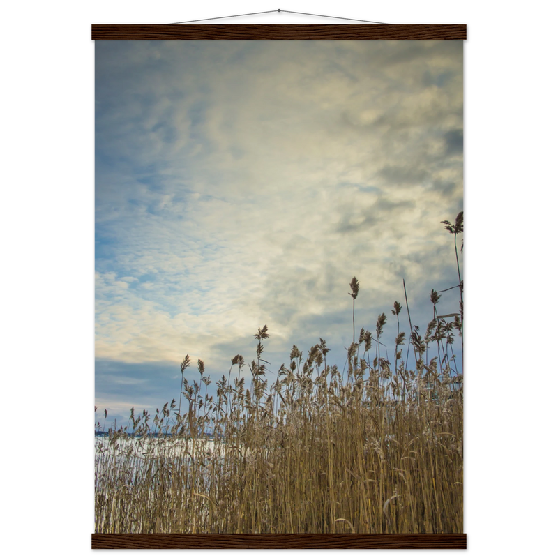 5220c292-addf-4405-aed7-55226b505474