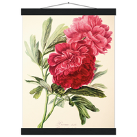 532d88ec-8074-4ab3-97d4-9dde6749c015