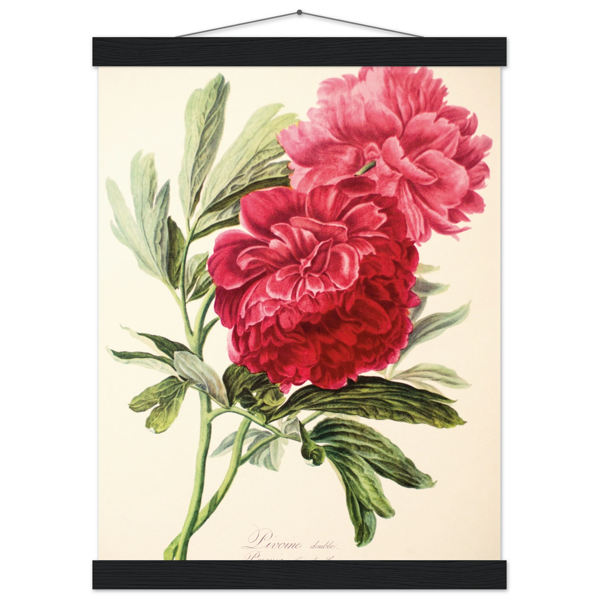 532d88ec-8074-4ab3-97d4-9dde6749c015