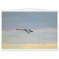 534ce8c9-124f-42a2-bb55-8cf8b87280fe