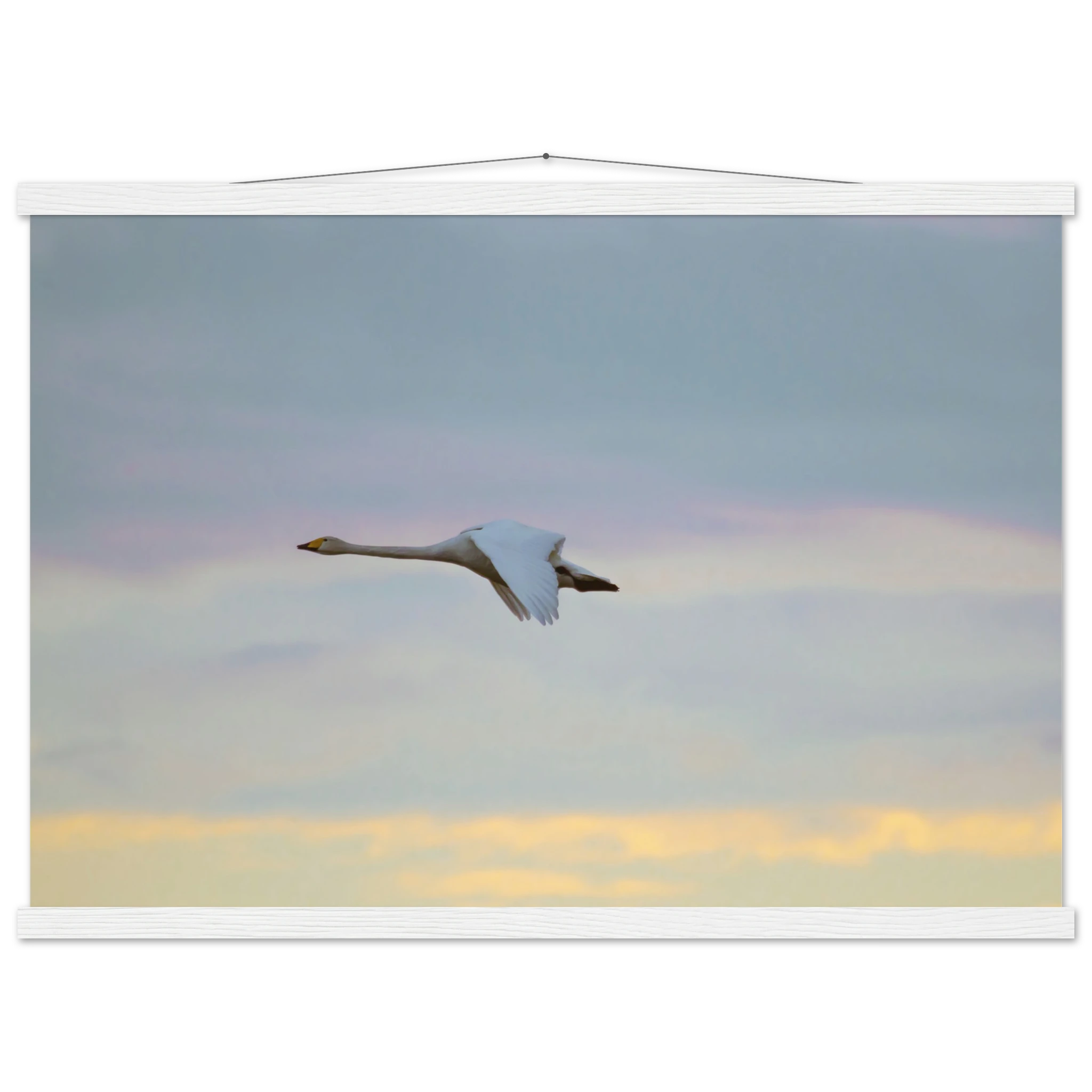 534ce8c9-124f-42a2-bb55-8cf8b87280fe