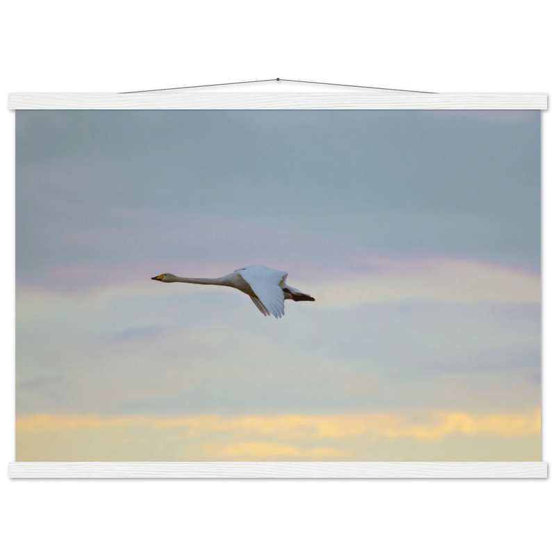 534ce8c9-124f-42a2-bb55-8cf8b87280fe