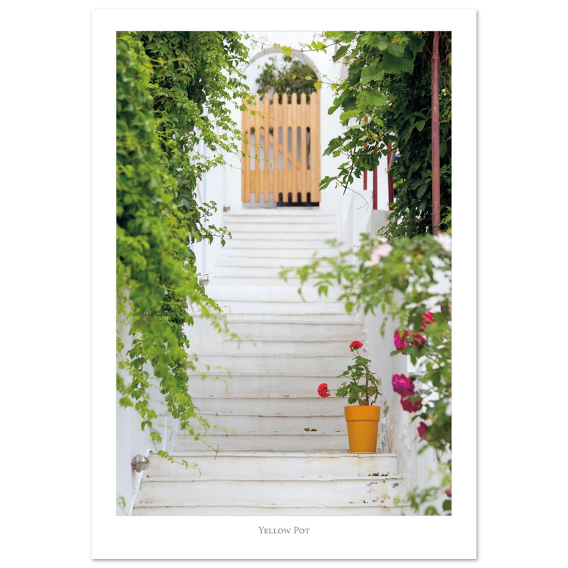 535b9ad2-bff0-4bed-8b57-ec7ab03fc18e