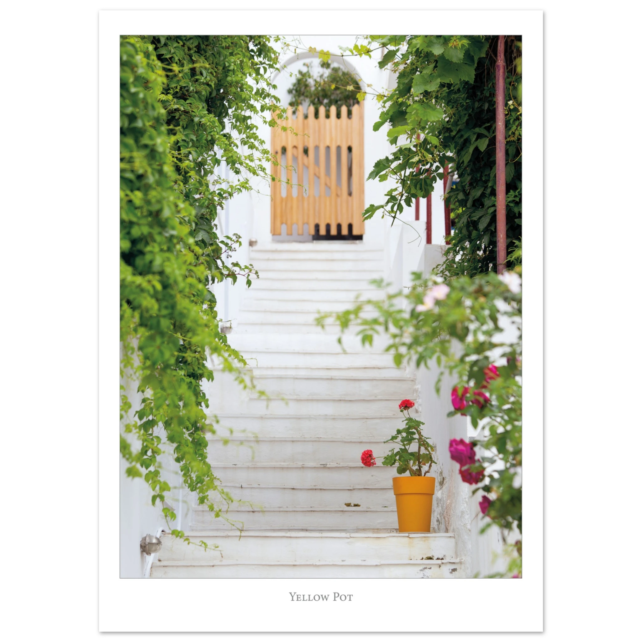 539e5ceb-5993-44d6-8e3c-8e864ae0393f