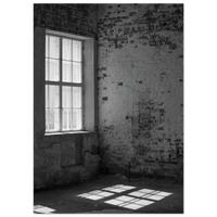 53a656e7-2b3a-48db-9ecb-28b398438cd1