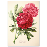 544b5693-8eff-4734-96d7-b5f797197525