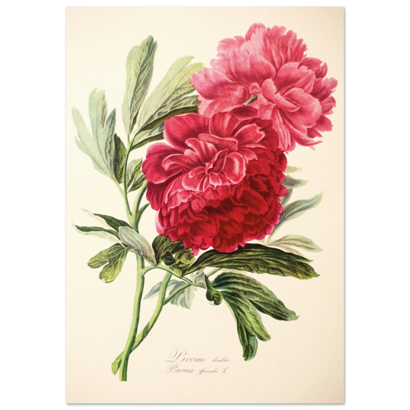 544b5693-8eff-4734-96d7-b5f797197525