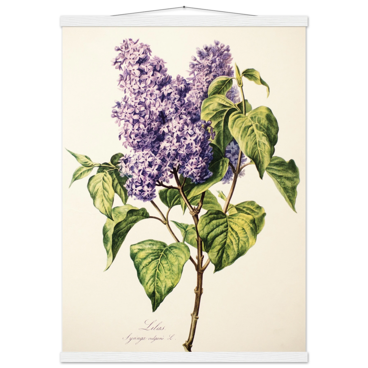 54804bb0-52ac-4be0-be0a-f8f24acf0c24