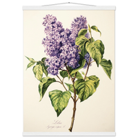 54804bb0-52ac-4be0-be0a-f8f24acf0c24